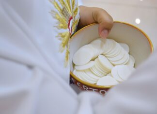 Ep 08: La Eucaristía, Fuente de Inspiración en mi Carrera Profesional | Algoritmia de fe Podcast La Eucaristía, la Fuente de Inspiración en mi Carrera Profesional